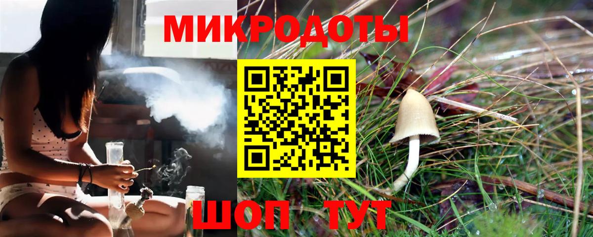 Владимир  Галлюциногенные грибы GOLDEN TEACHER  Псилоцибиновые грибы Cubensis  Вход с VPN 