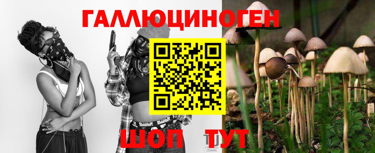 Галлюциногенные грибы Magic Shrooms Владимир